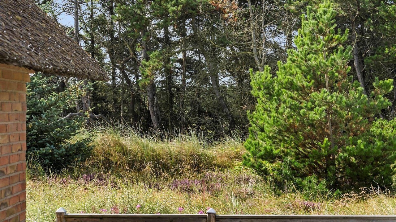 Photo of Outdoor in Klegod Strand