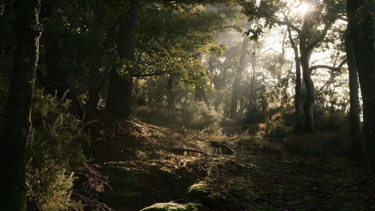 Photo of Others in Pluneret