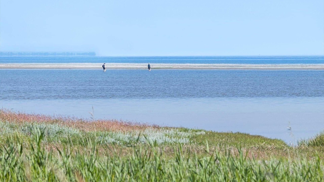 Photo of Others in Udbyhøj