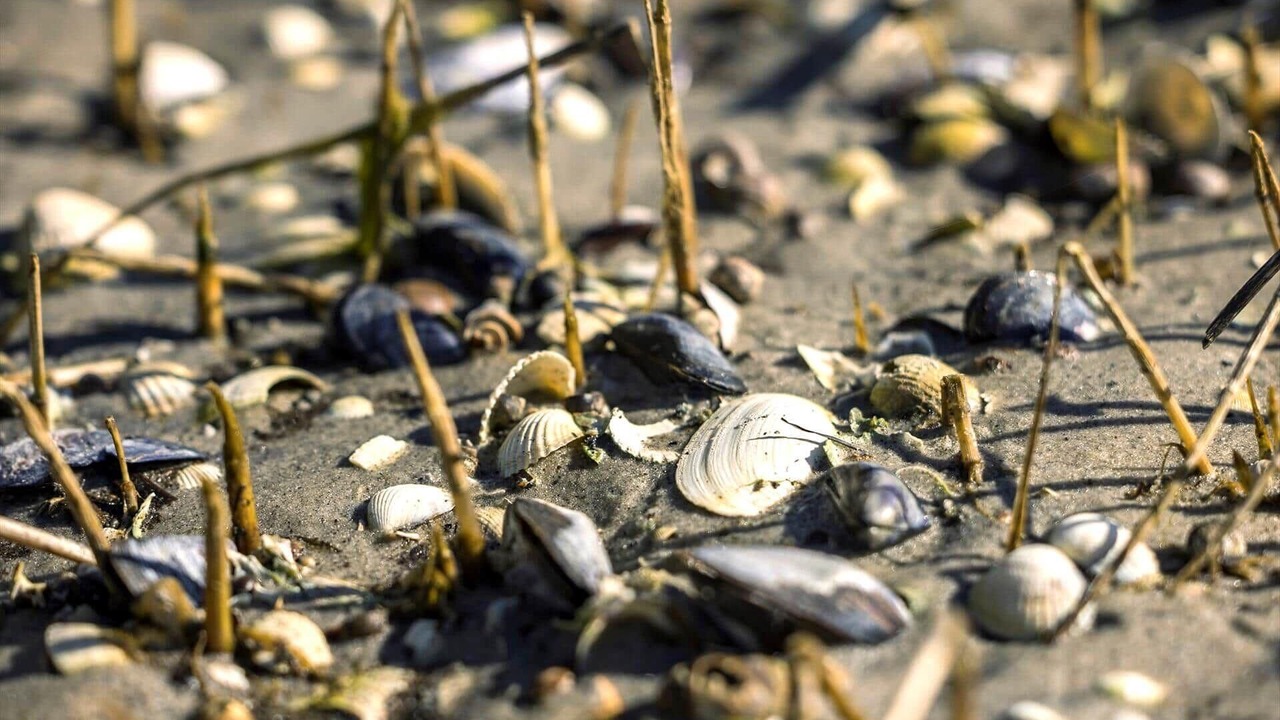 Photo of Others in Udbyhøj