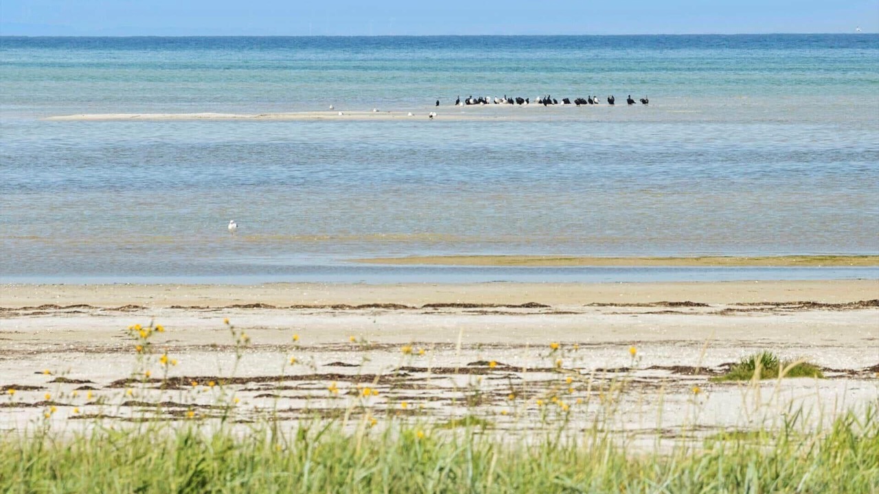 Photo of Others in Glesborg