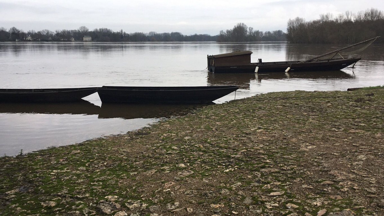 Photo of Others in Candes-Saint-Martin