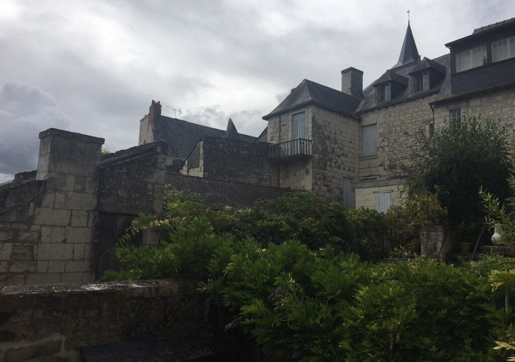 Photo of Outdoor in Candes-Saint-Martin