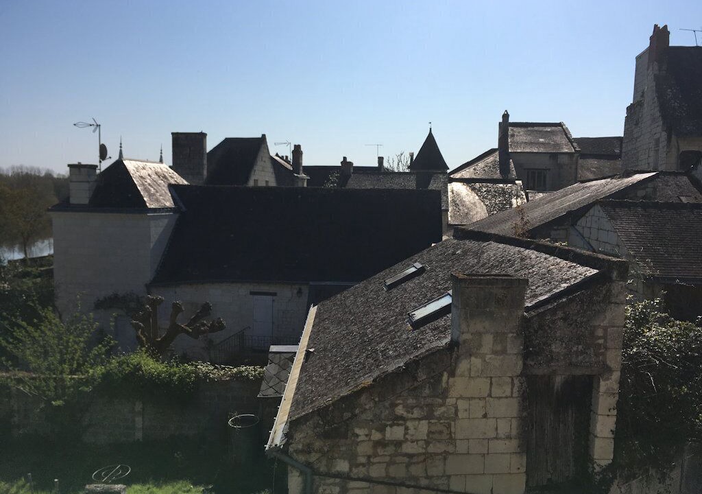 Photo of Outdoor in Candes-Saint-Martin