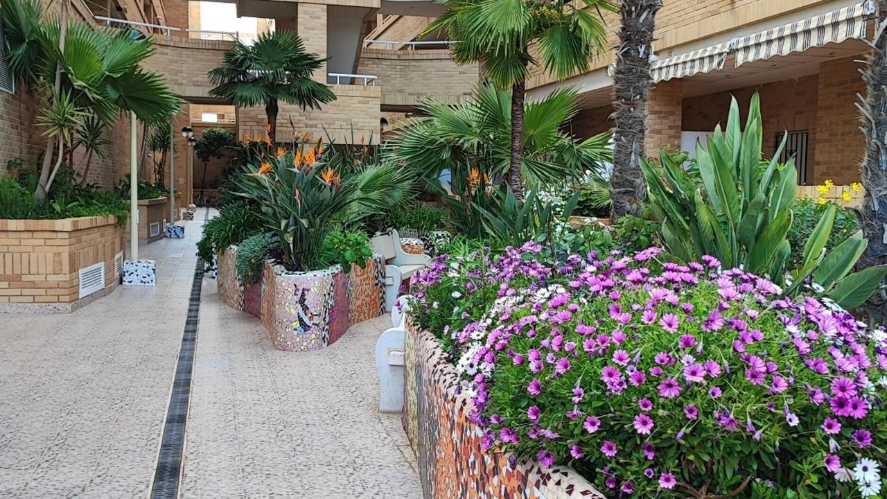 Photo of Outdoor in Marina d'Or