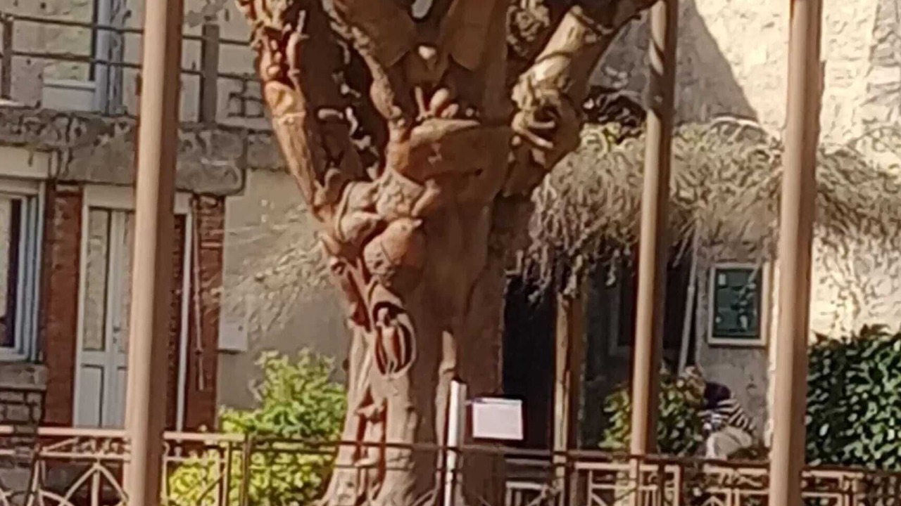 Photo of Outdoor in Le Caylar