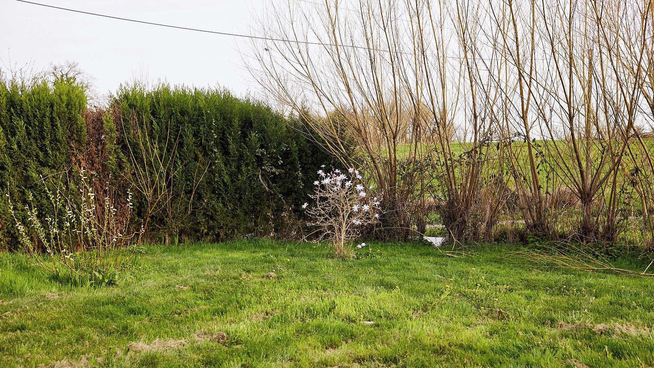 Photo of Outdoor in Drulhe