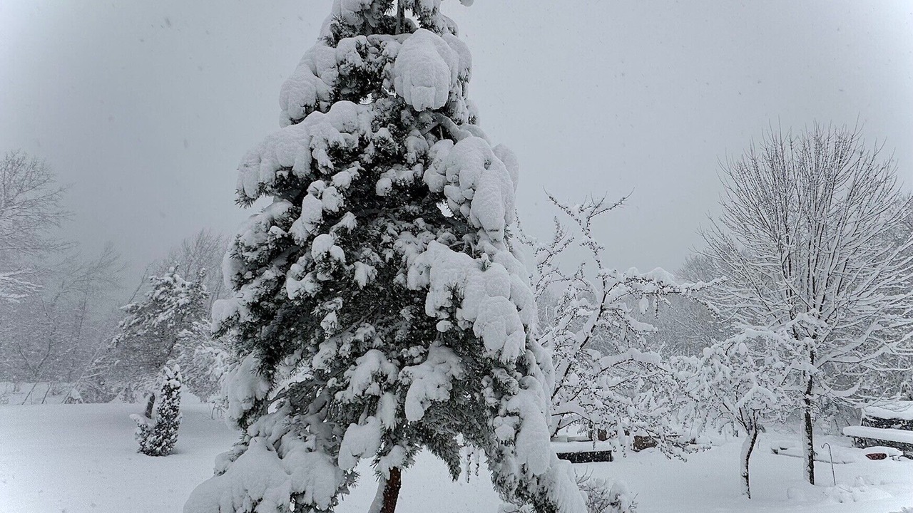 Photo of Others in Waubaushene