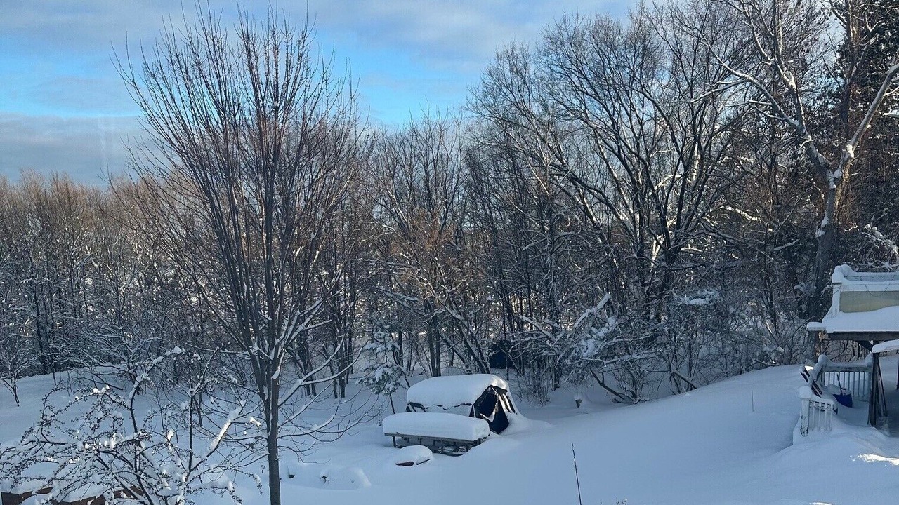 Photo of Others in Waubaushene