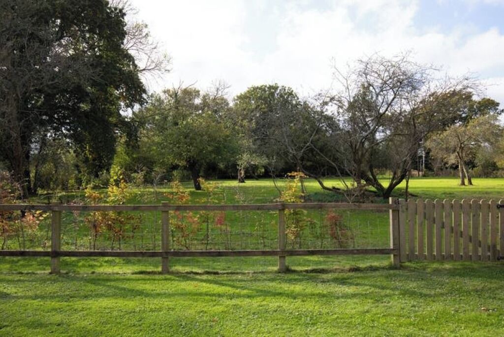 Photo of Outdoor in Haslemere