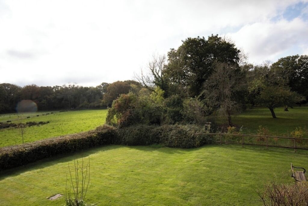 Photo of Outdoor in Haslemere