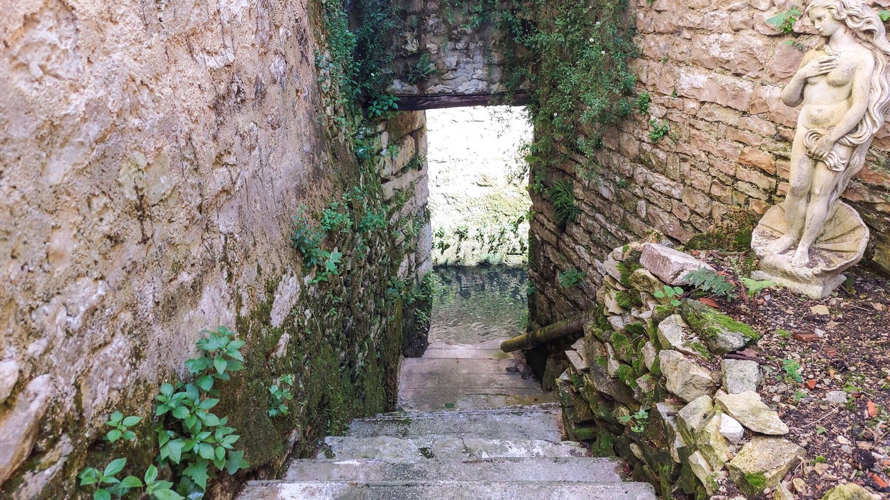 Photo of Others in Verteuil-sur-Charente