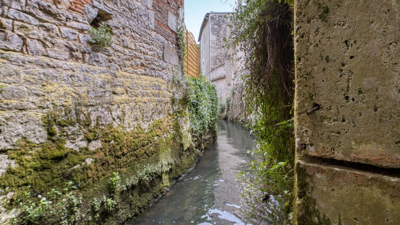 Photo of Others in Verteuil-sur-Charente