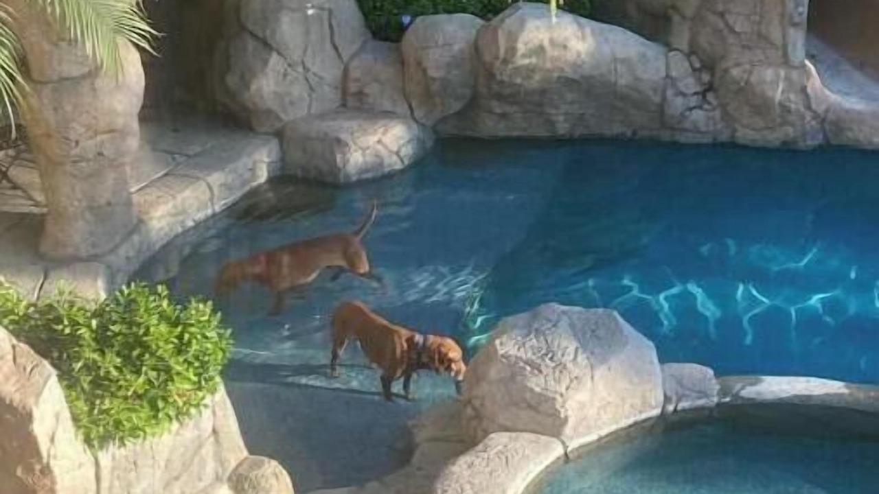 Photo of Outdoor in Santa Ana