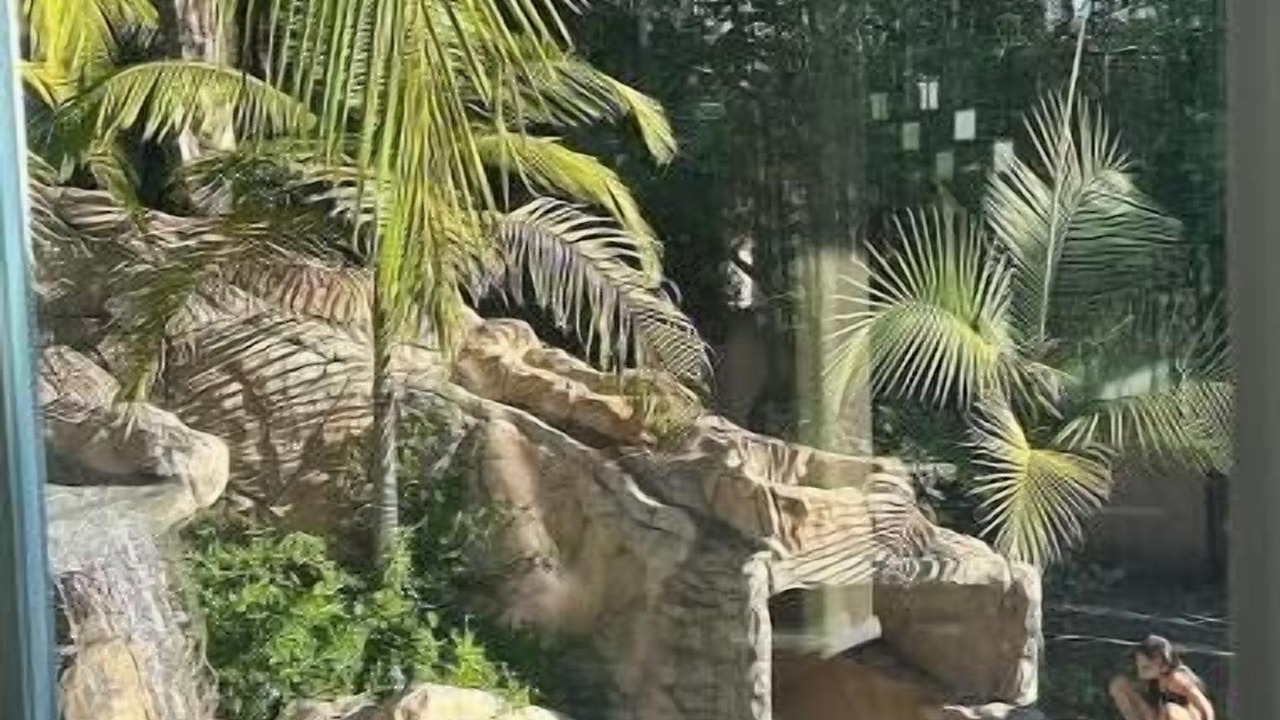 Photo of Outdoor in Santa Ana
