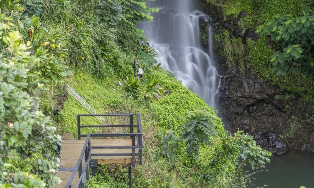 Photo of Others in Ninole