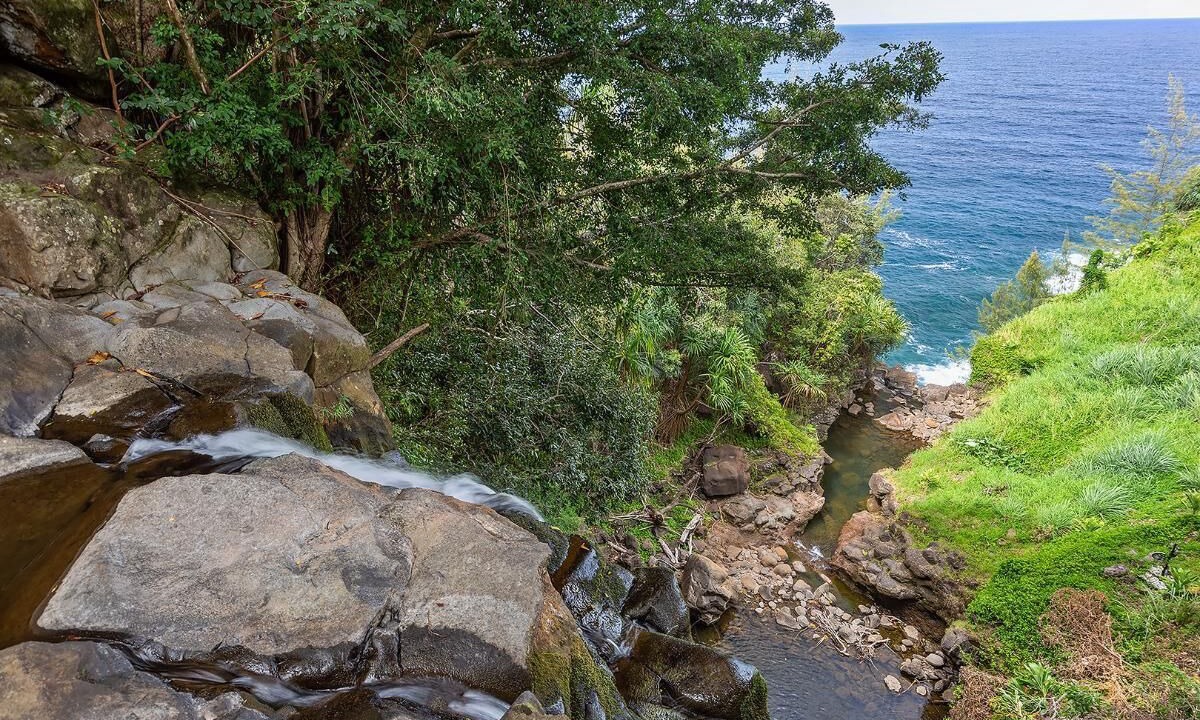 Photo of Others in Ninole