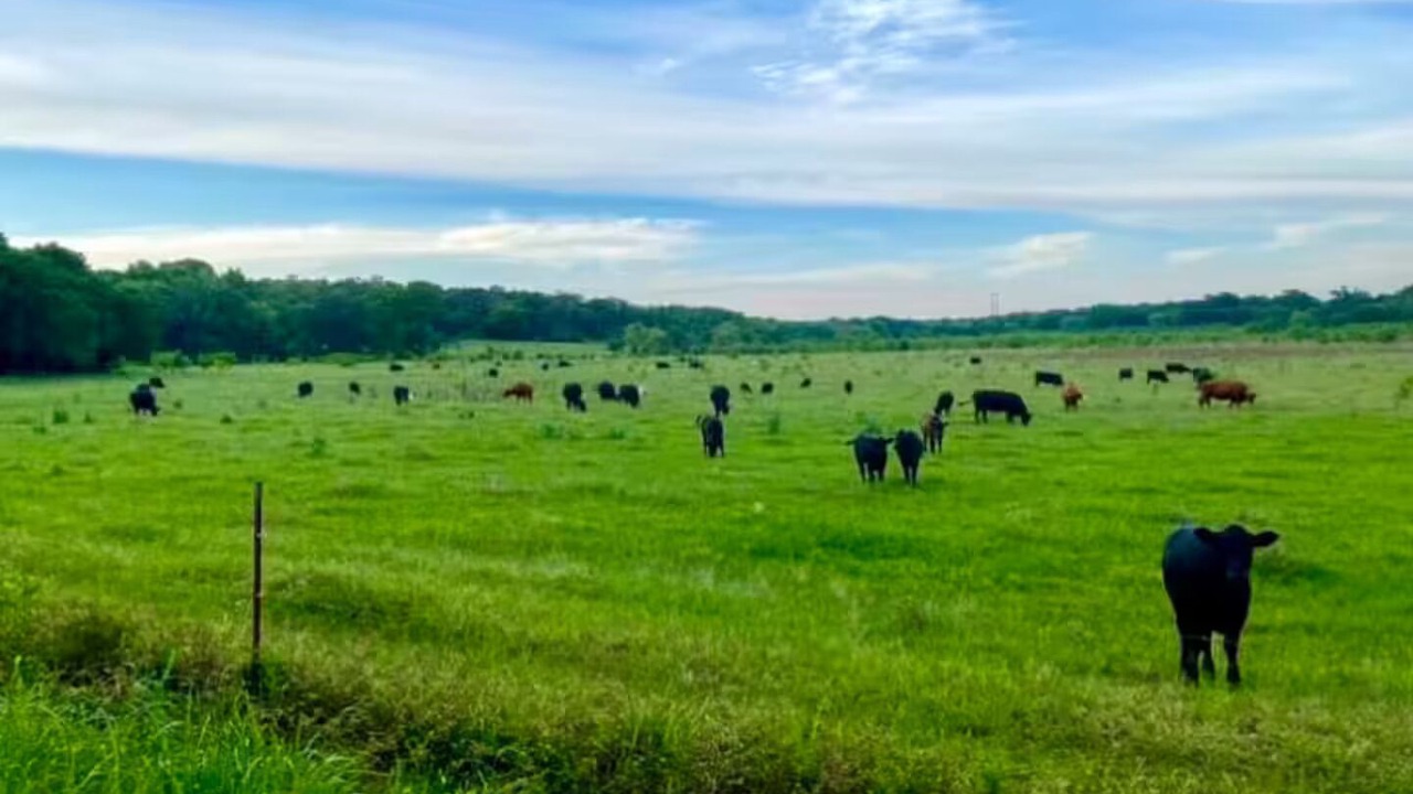 Photo of Others in Canton