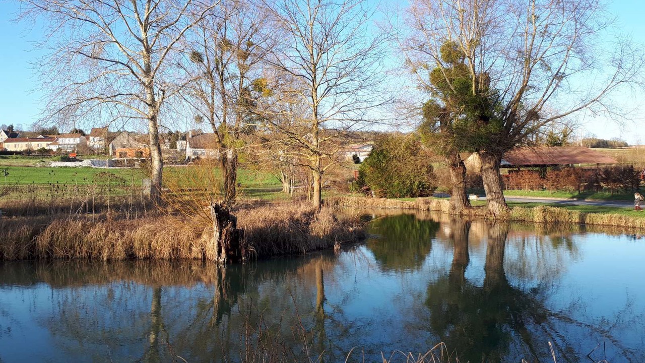 Photo of Others in Saint-Euphraise-et-Clairizet