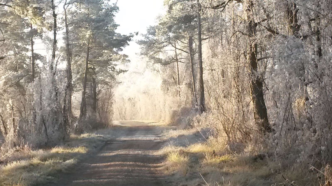 Photo of Others in Saint-Euphraise-et-Clairizet