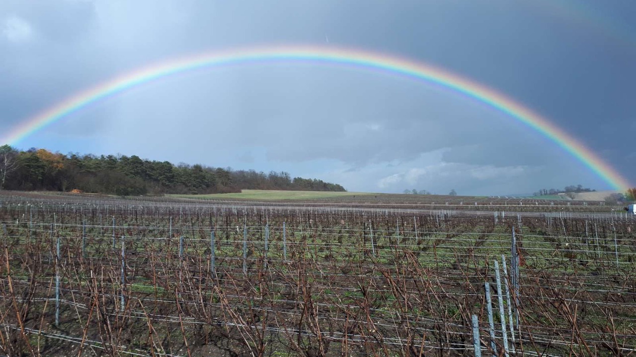 Photo of Others in Saint-Euphraise-et-Clairizet