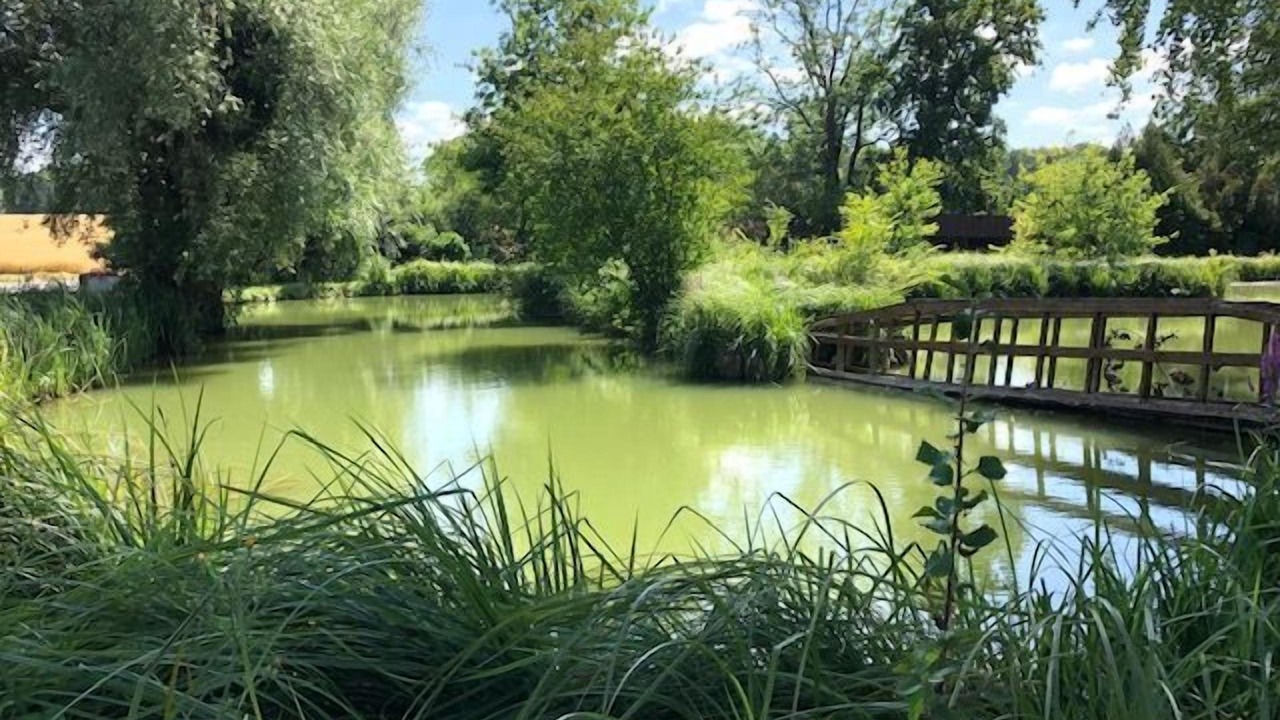 Photo of Outdoor in Saint-Euphraise-et-Clairizet