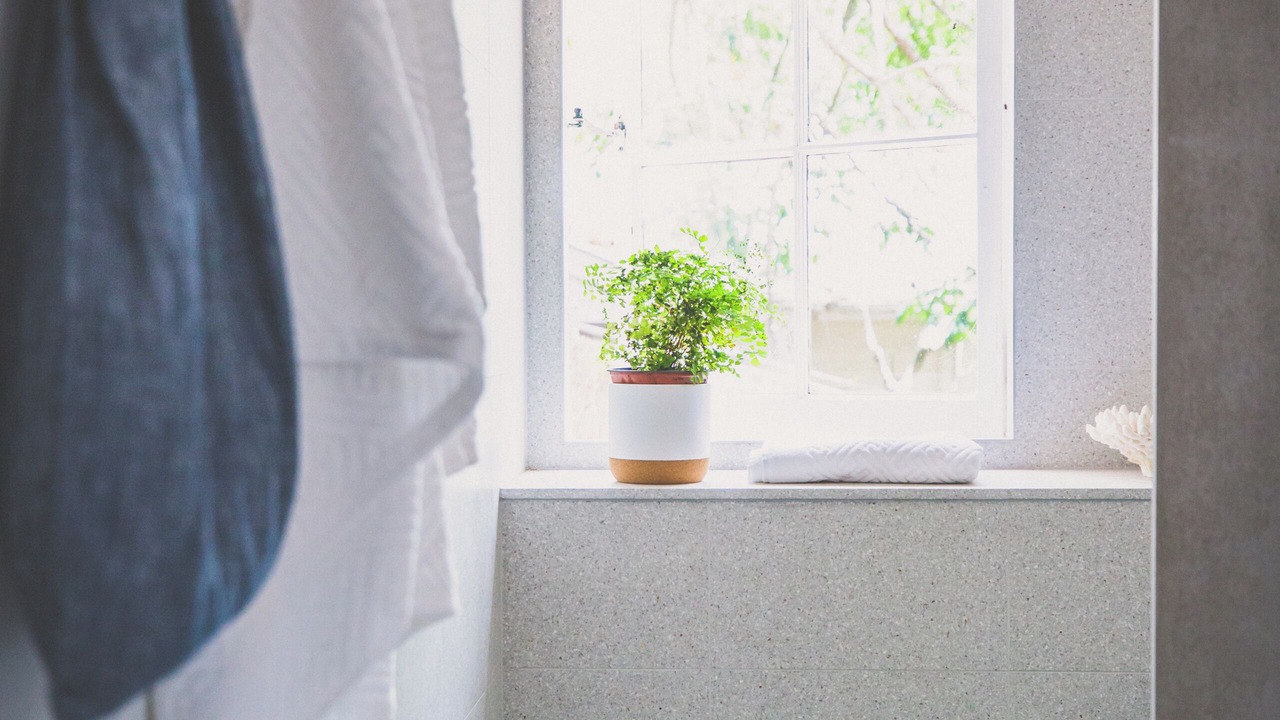 Photo of Others in Avalon Beach