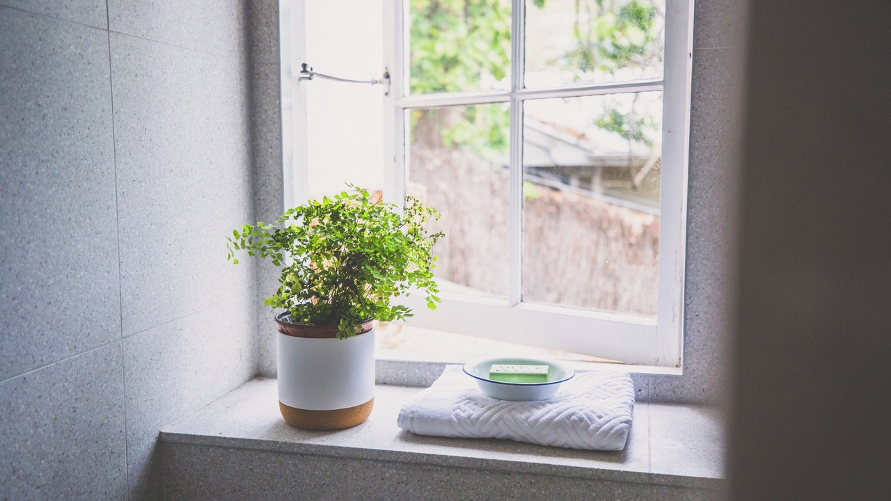 Photo of Others in Avalon Beach