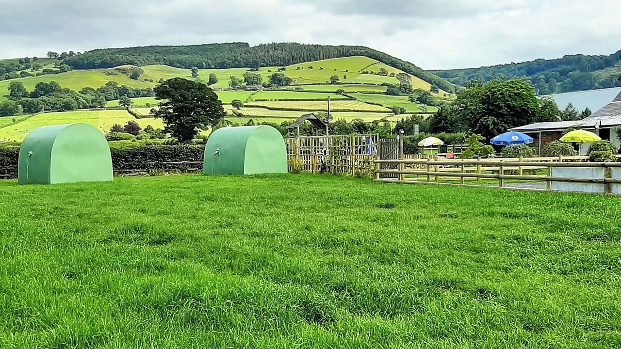 Photo of Others in Kingswood