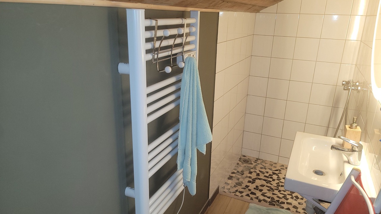 Photo of Bathroom in Villard-Bonnot