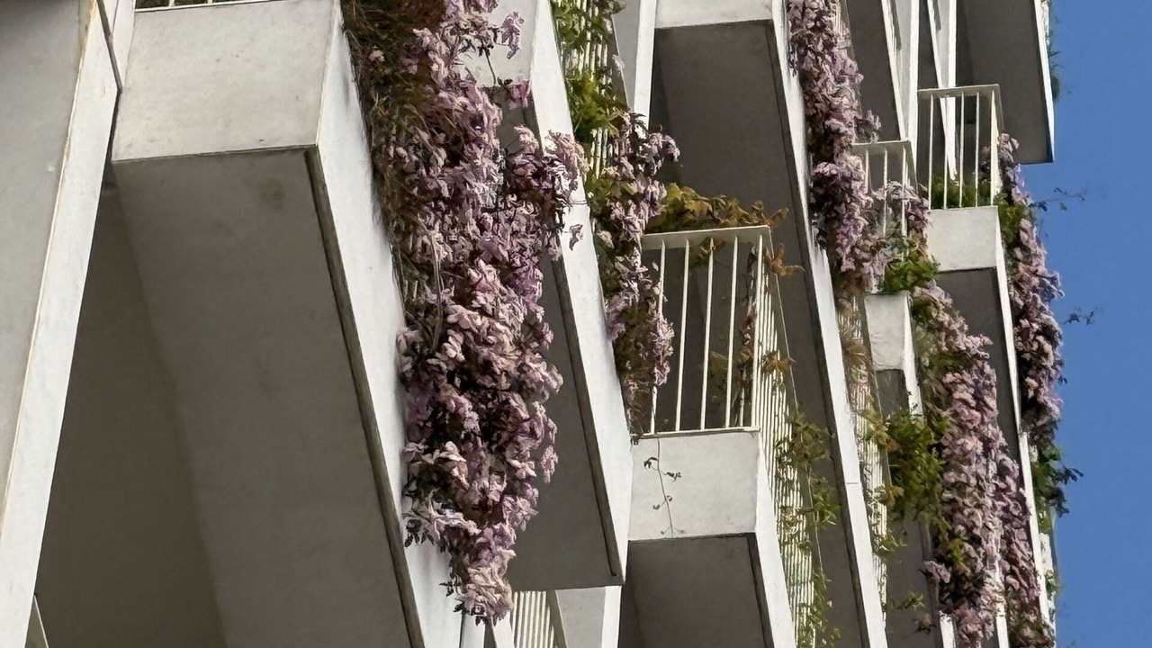 Photo of Outdoor in Amager