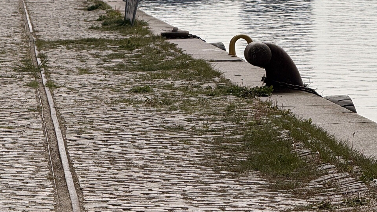 Photo of Outdoor in Amager