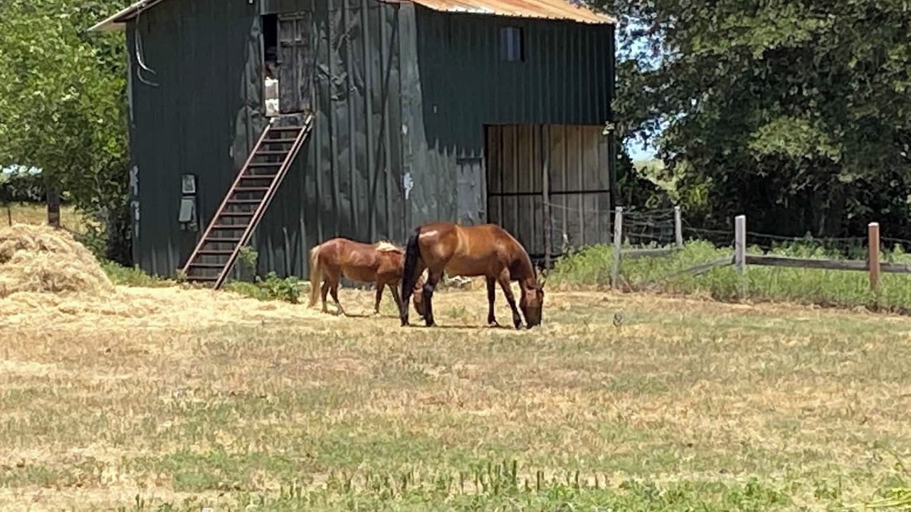 Photo of Others in Nocona