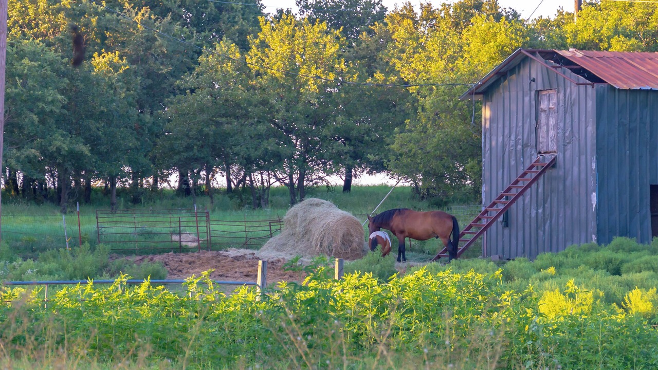 Photo of Others in Nocona