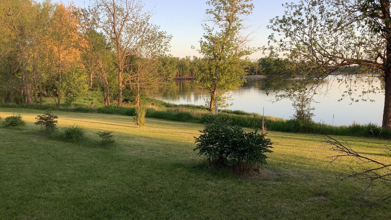 Photo of Others in Troy Mills