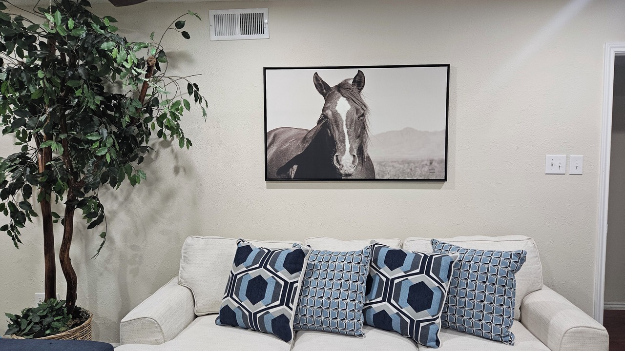 Photo of Livingroom in Mesquite