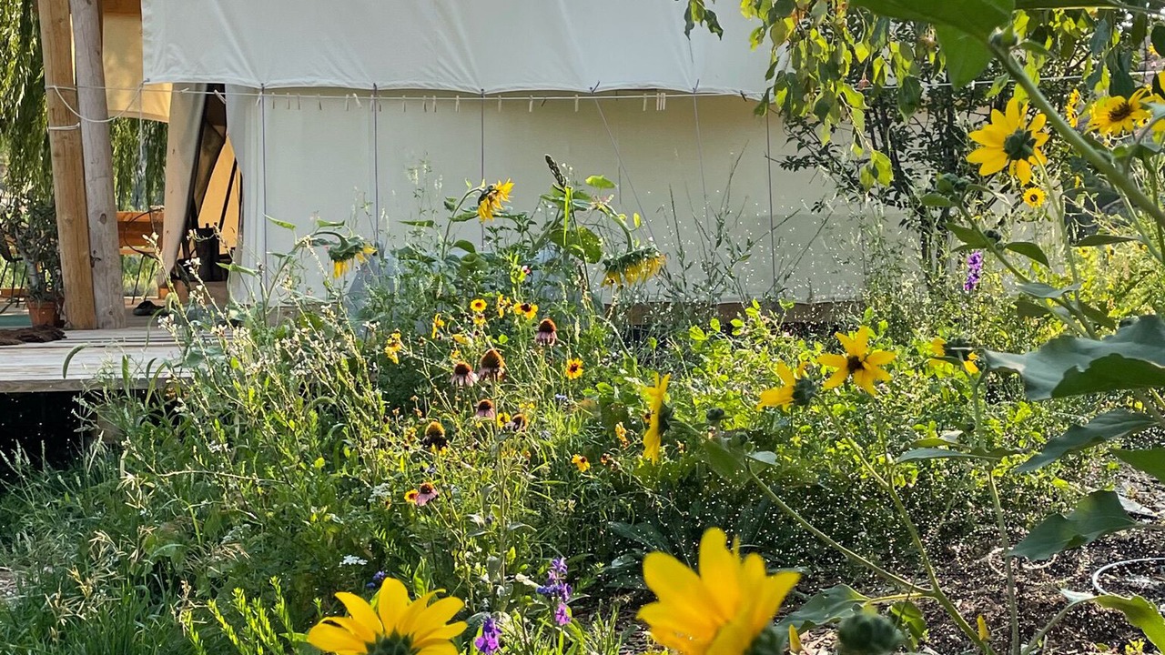 Photo of Outdoor in Cortez