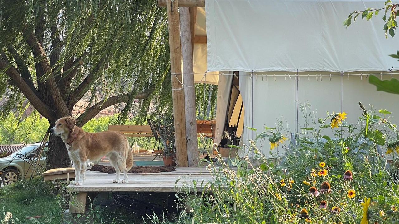 Photo of Outdoor in Cortez