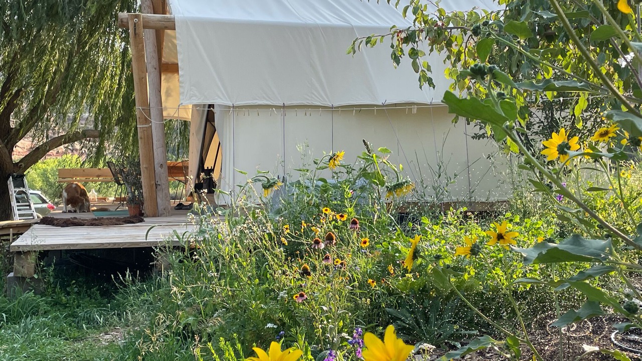 Photo of Outdoor in Cortez