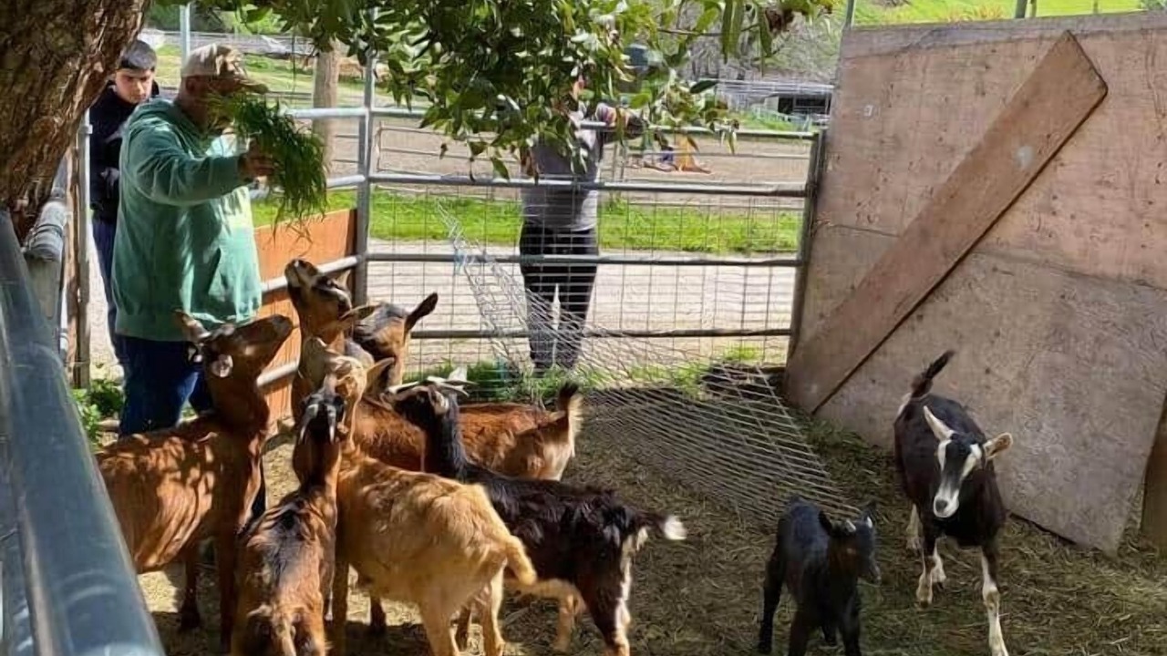 Photo of Others in Castro Valley