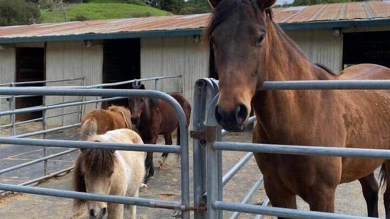 Photo of Others in Castro Valley