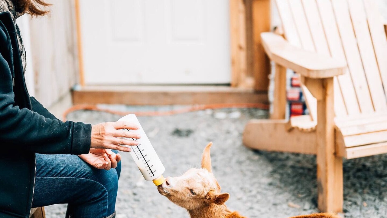 Photo of Others in Monson