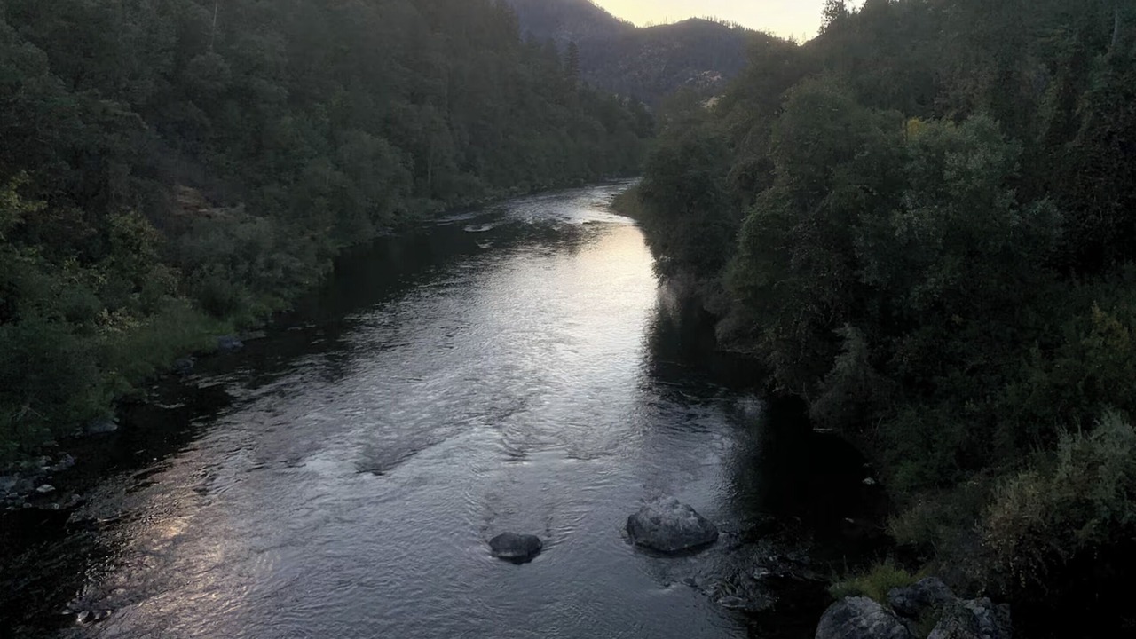 Photo of Others in Big Bar