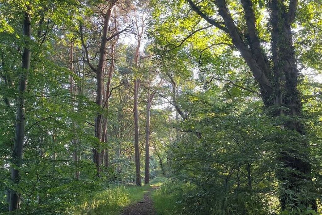 Photo of Others in Shincliffe