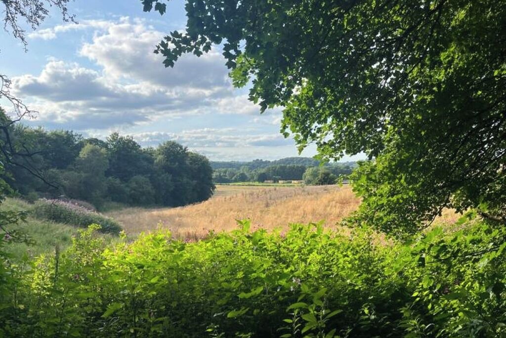 Photo of Others in Shincliffe