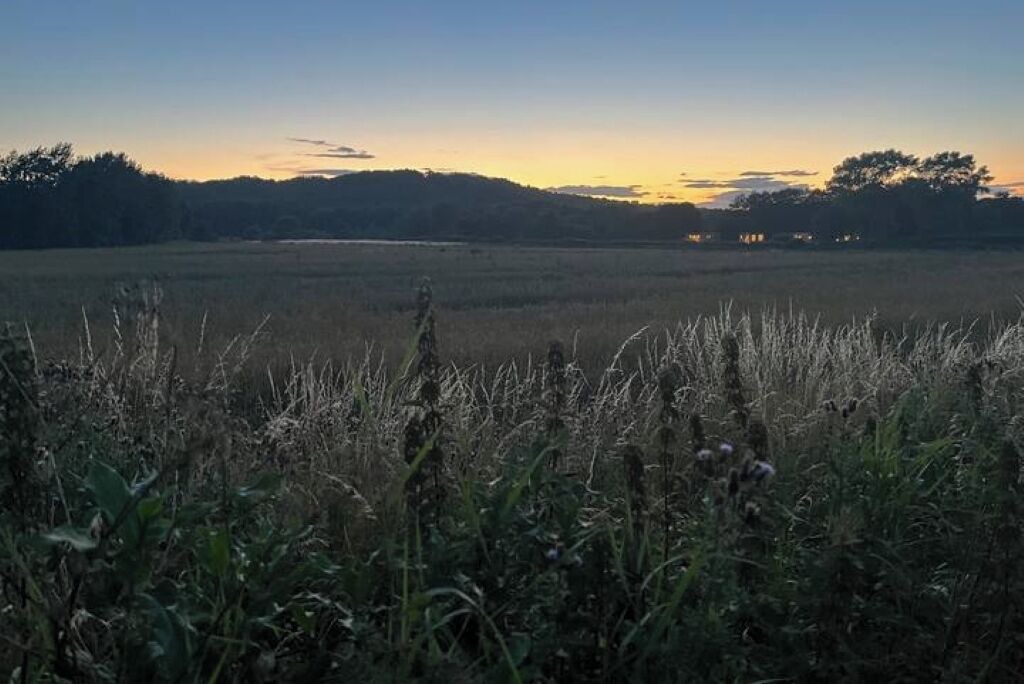 Photo of Others in Shincliffe