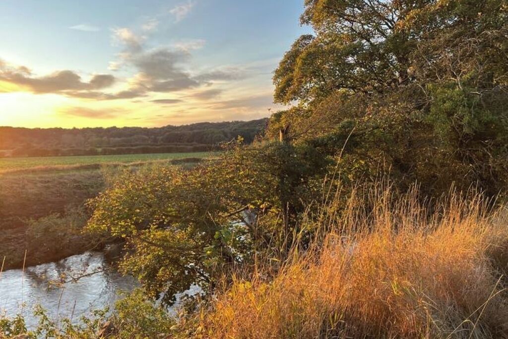 Photo of Others in Shincliffe