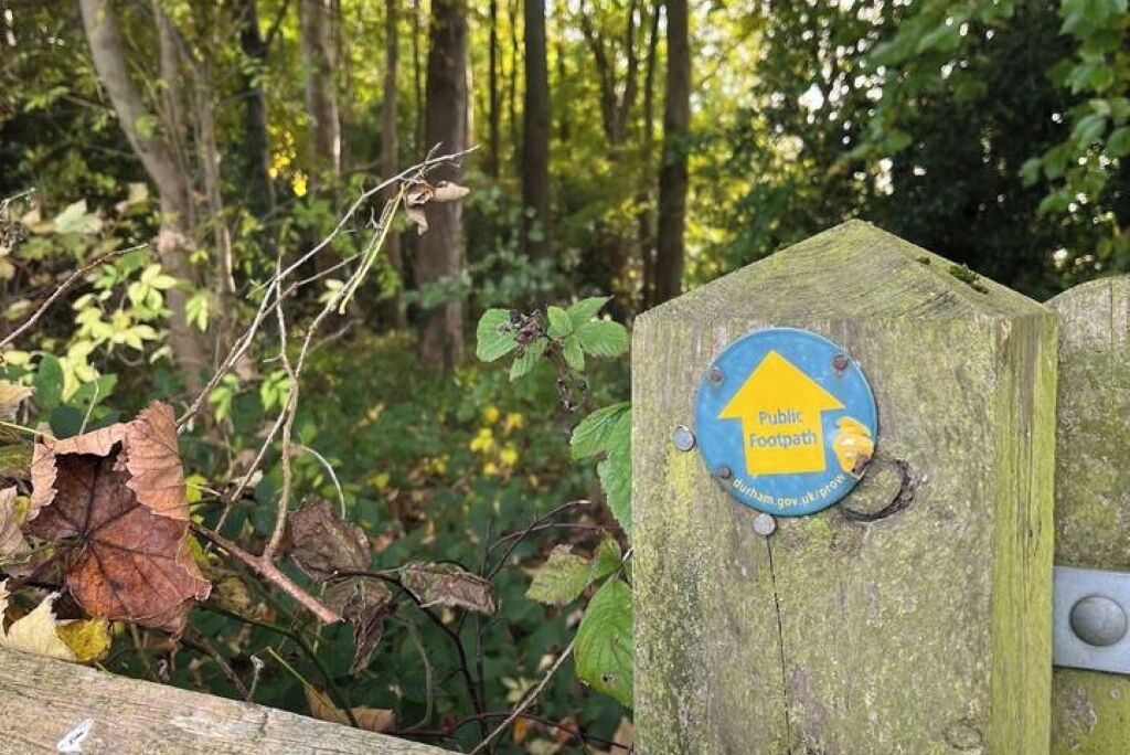 Photo of Outdoor in Shincliffe