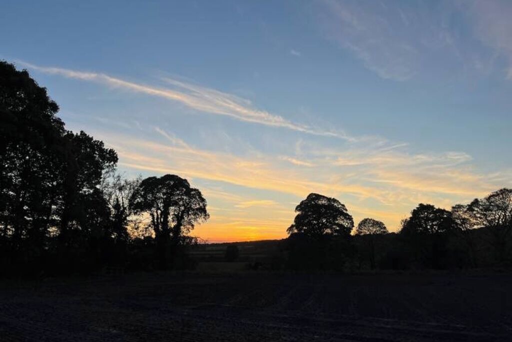 Photo of Others in Shincliffe