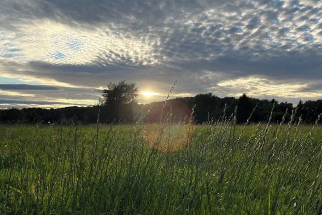 Photo of Others in Shincliffe